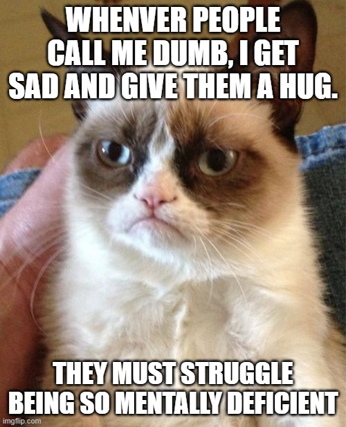 Grumpy Cat | WHENVER PEOPLE CALL ME DUMB, I GET SAD AND GIVE THEM A HUG. THEY MUST STRUGGLE BEING SO MENTALLY DEFICIENT | image tagged in memes,grumpy cat | made w/ Imgflip meme maker