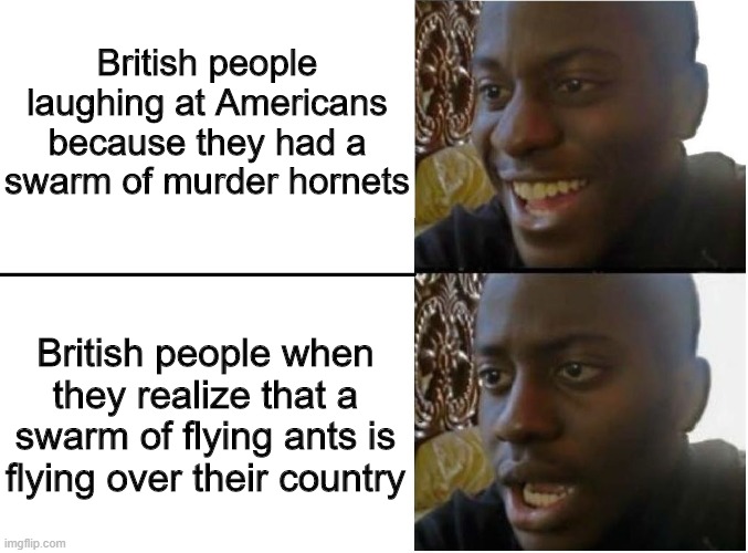 Flying ants | British people laughing at Americans because they had a swarm of murder hornets; British people when they realize that a swarm of flying ants is flying over their country | image tagged in happy and sad black guy,memes,funny,murder hornet,british | made w/ Imgflip meme maker