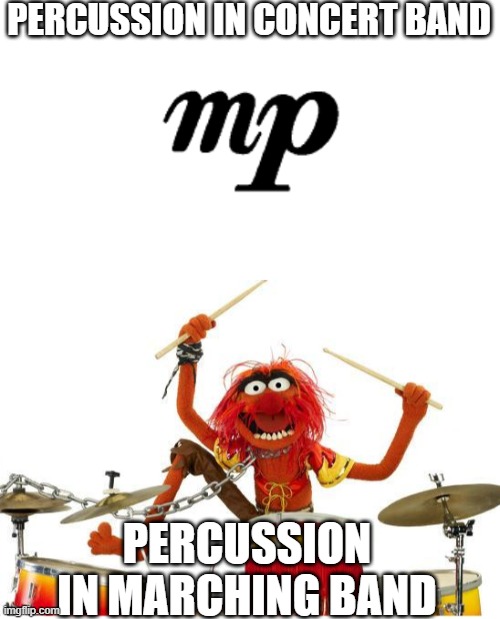 PERCUSSION IN CONCERT BAND; PERCUSSION IN MARCHING BAND | image tagged in animal drums | made w/ Imgflip meme maker