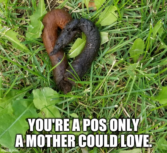 YOU'RE A POS ONLY A MOTHER COULD LOVE. | made w/ Imgflip meme maker