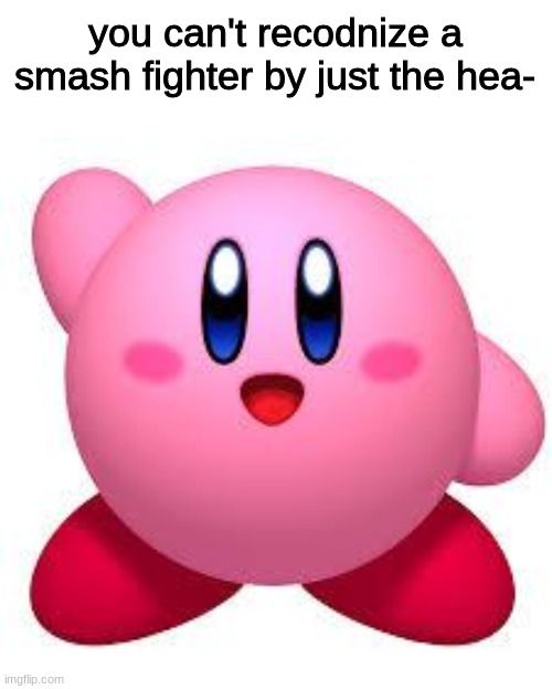 He ONLY Has a Head. | you can't recodnize a smash fighter by just the hea- | image tagged in kirby,memes | made w/ Imgflip meme maker