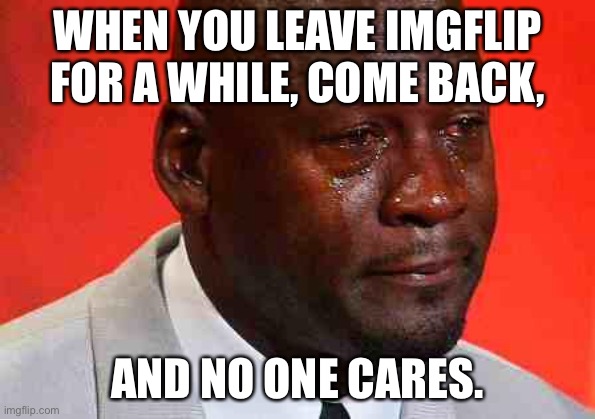 crying michael jordan | WHEN YOU LEAVE IMGFLIP FOR A WHILE, COME BACK, AND NO ONE CARES. | image tagged in crying michael jordan | made w/ Imgflip meme maker