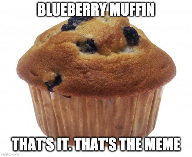 Popular Opinion Muffin | BLUEBERRY MUFFIN; THAT'S IT. THAT'S THE MEME | image tagged in popular opinion muffin,bad memes | made w/ Imgflip meme maker
