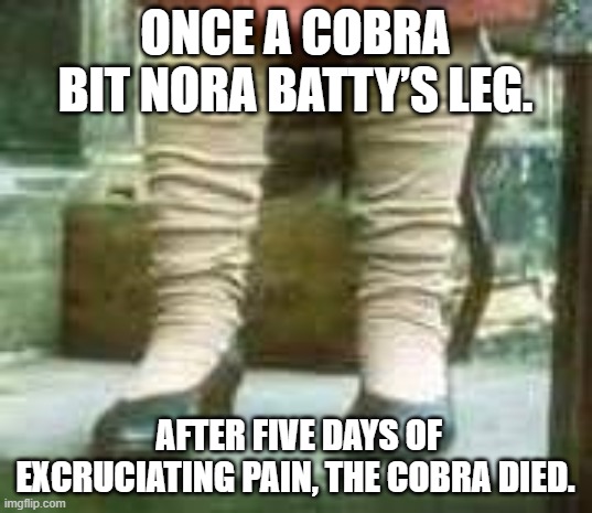 Nora Batty's Legs | ONCE A COBRA BIT NORA BATTY’S LEG. AFTER FIVE DAYS OF EXCRUCIATING PAIN, THE COBRA DIED. | image tagged in nora batty's legs | made w/ Imgflip meme maker