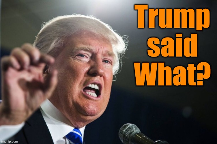 He said what | Trump said What? | image tagged in donald trump | made w/ Imgflip meme maker