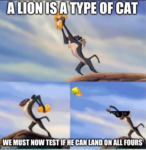 Dont worry, cats can land on all fours, i am a dog person though | A LION IS A TYPE OF CAT; WE MUST NOW TEST IF HE CAN LAND ON ALL FOURS | image tagged in lion being yeeted,cat lands on all fours,cat,lion king | made w/ Imgflip meme maker