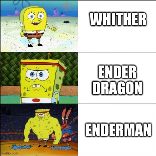 Increasingly buffed spongebob | WHITHER; ENDER DRAGON; ENDERMAN | image tagged in increasingly buffed spongebob | made w/ Imgflip meme maker