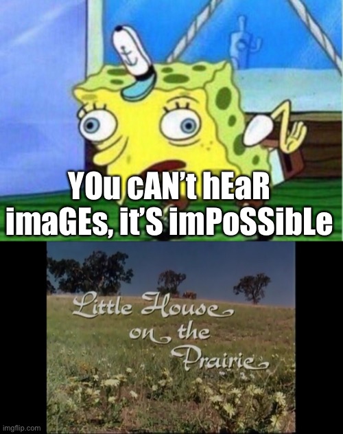 YOu cAN’t hEaR imaGEs, it’S imPoSSibLe | image tagged in memes,mocking spongebob | made w/ Imgflip meme maker