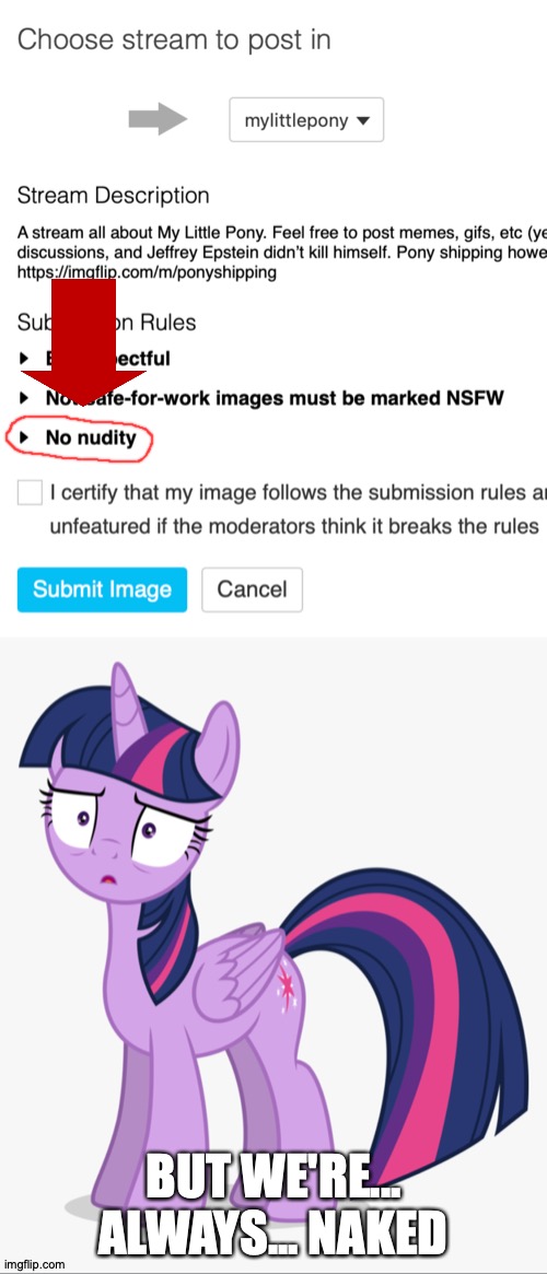 I Read The Rule Details, But I Still Thought This Was Funny | BUT WE'RE...
ALWAYS... NAKED | image tagged in memes,my little pony,confused,twilight sparkle | made w/ Imgflip meme maker