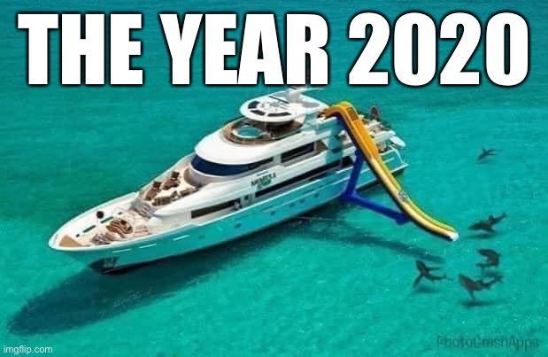 The year 2020 | THE YEAR 2020 | image tagged in 2020,coronavirus | made w/ Imgflip meme maker