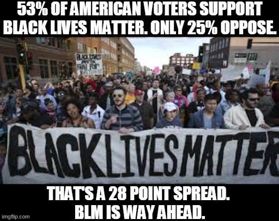 When people trash Black Lives Matter, remember that most Americans support it. | image tagged in black lives matter,americans,like | made w/ Imgflip meme maker