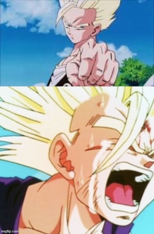 Crying Salute Gohan | image tagged in crying salute gohan | made w/ Imgflip meme maker