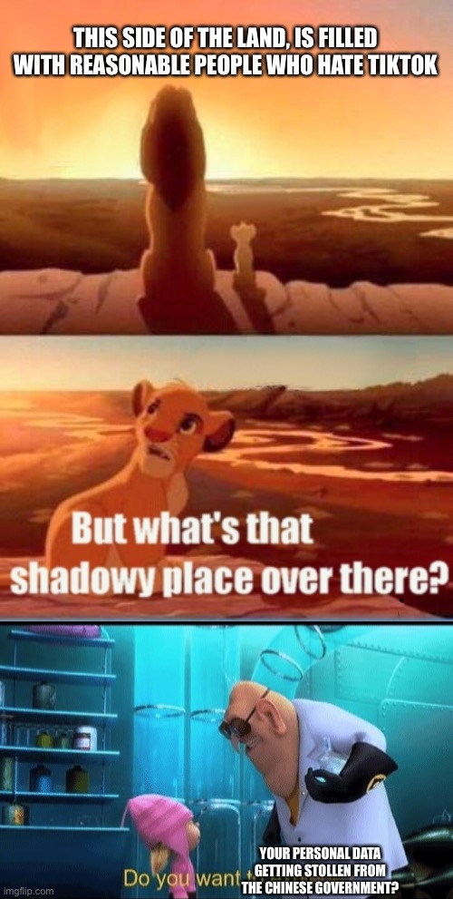 Simba Shadowy Place | THIS SIDE OF THE LAND, IS FILLED WITH REASONABLE PEOPLE WHO HATE TIKTOK; YOUR PERSONAL DATA GETTING STOLLEN FROM THE CHINESE GOVERNMENT? | image tagged in memes,simba shadowy place,tiktok sucks | made w/ Imgflip meme maker