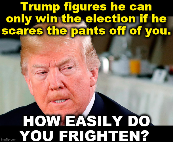 boo | Trump figures he can only win the election if he scares the pants off of you. HOW EASILY DO YOU FRIGHTEN? | image tagged in trump lip curl as his world goes to shit,trump,fear,racism,election 2020 | made w/ Imgflip meme maker