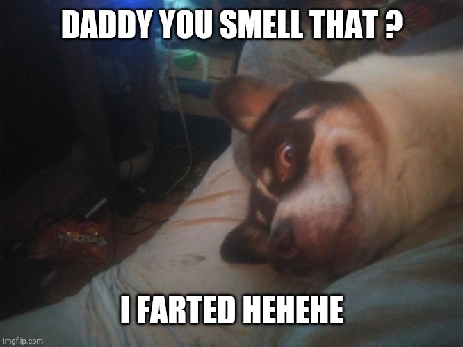 Buck | DADDY YOU SMELL THAT ? I FARTED HEHEHE | image tagged in funny memes | made w/ Imgflip meme maker