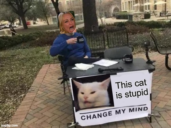 Crossover | This cat is stupid | image tagged in memes,change my mind,woman yelling at cat,crossover,funny,fun | made w/ Imgflip meme maker