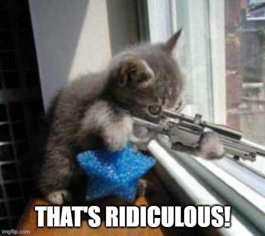 CatSniper | THAT'S RIDICULOUS! | image tagged in catsniper | made w/ Imgflip meme maker