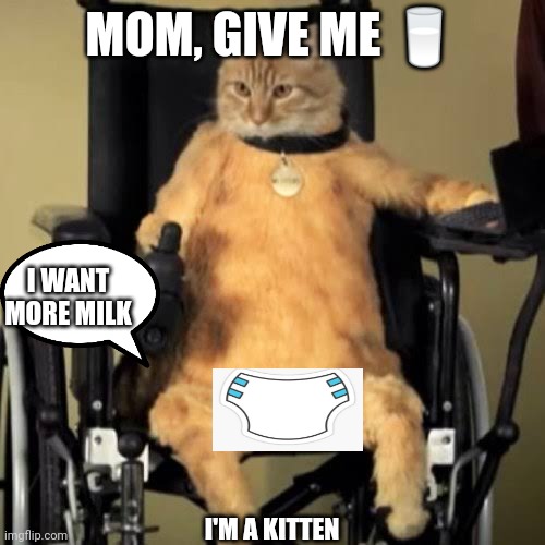 Wheelchair cat | MOM, GIVE ME 🥛; I WANT MORE MILK; I'M A KITTEN | image tagged in wheelchair cat | made w/ Imgflip meme maker