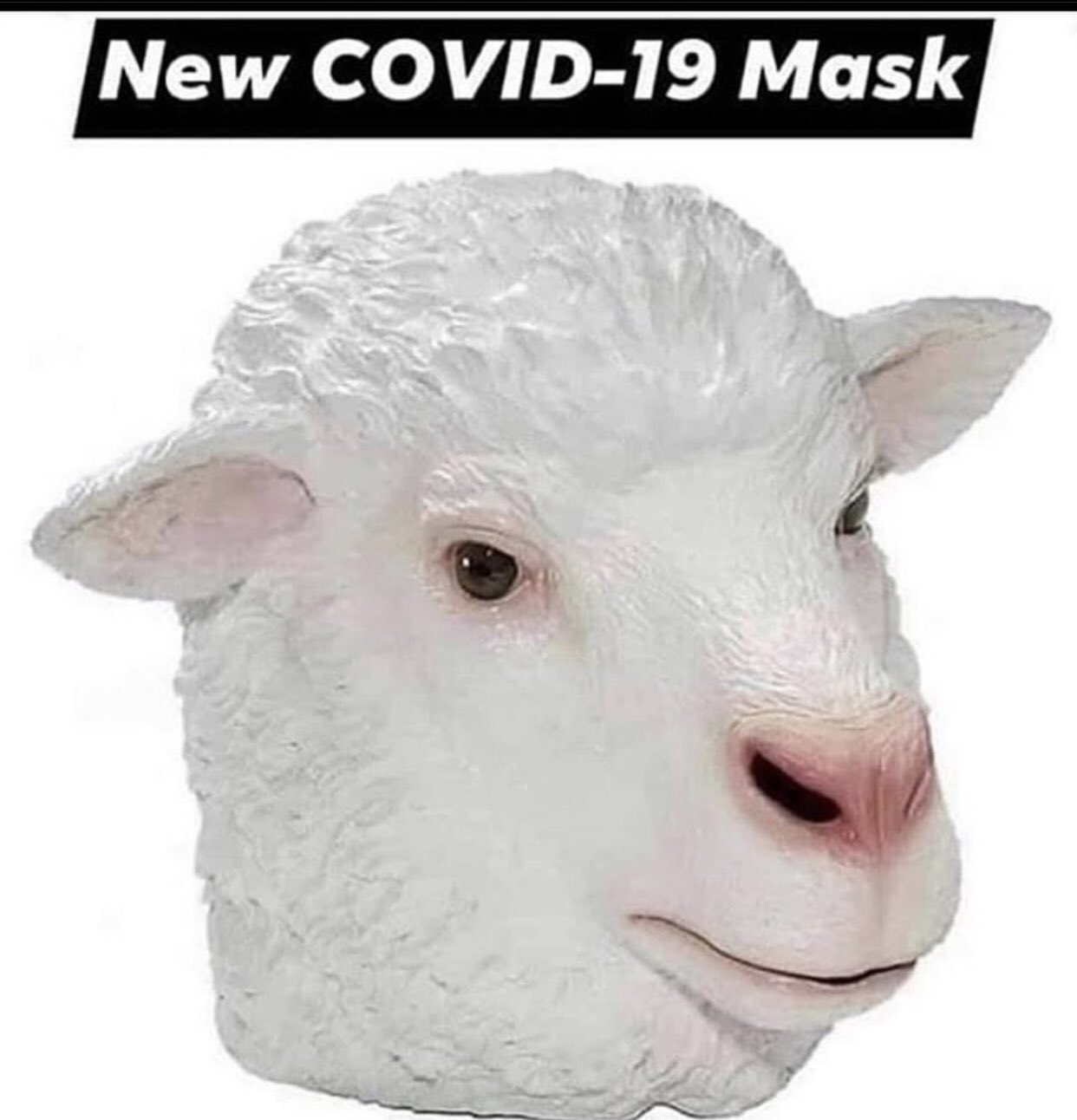 High Quality New COVID-19 MASK Blank Meme Template