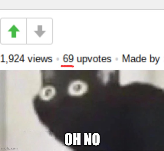 OH NO | image tagged in oh no black cat,memes,upvotes,69,69 upvotes,oh no | made w/ Imgflip meme maker