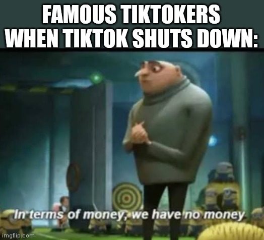 In terms of money | FAMOUS TIKTOKERS WHEN TIKTOK SHUTS DOWN: | image tagged in in terms of money | made w/ Imgflip meme maker