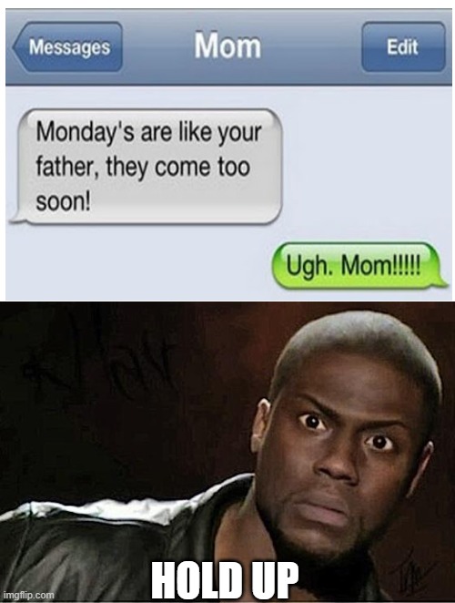 Kevin Hart Meme | HOLD UP | image tagged in memes,kevin hart | made w/ Imgflip meme maker