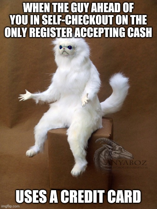 Maybe use one of the other four registers with no one waiting, that also take cards | WHEN THE GUY AHEAD OF YOU IN SELF-CHECKOUT ON THE ONLY REGISTER ACCEPTING CASH; USES A CREDIT CARD | image tagged in memes,persian cat room guardian single,cash,credit card,entitlement | made w/ Imgflip meme maker