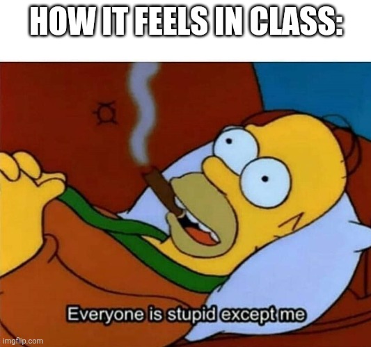 Repost of what I did 0.004 seconds ago in MiddleSchool, but it applies here. | HOW IT FEELS IN CLASS: | image tagged in everyone is stupid except me | made w/ Imgflip meme maker