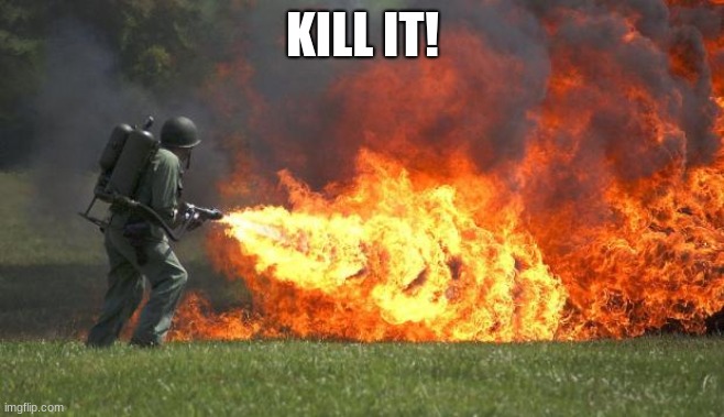 flamethrower | KILL IT! | image tagged in flamethrower | made w/ Imgflip meme maker