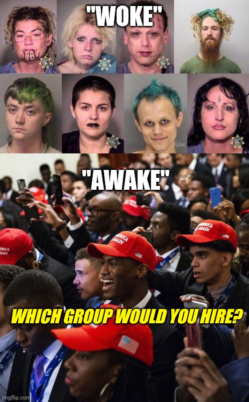 Woke Antifa Liberals VS Awake Black Republicans / Conservatives in America Truth | "WOKE"; "AWAKE"; WHICH GROUP WOULD YOU HIRE? | image tagged in republicans,black lives matter,woke,truth hurts,liberals,antifa | made w/ Imgflip meme maker