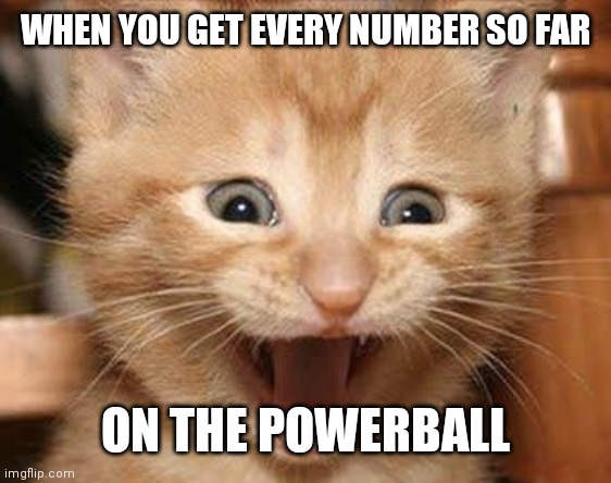 Excited Cat | WHEN YOU GET EVERY NUMBER SO FAR; ON THE POWERBALL | image tagged in memes,excited cat | made w/ Imgflip meme maker