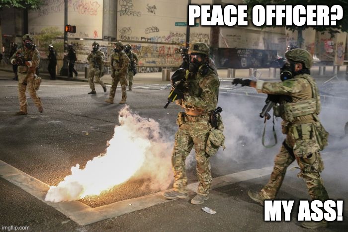 PEACE OFFICER? MY ASS! | image tagged in police,portland,dhs,fascists | made w/ Imgflip meme maker