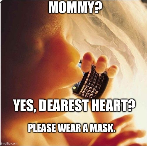 Baby asks mom for protection from Covid-19 | MOMMY? YES, DEAREST HEART? PLEASE WEAR A MASK. | image tagged in baby in womb on cell phone - fetus blackberry,covid-19 | made w/ Imgflip meme maker