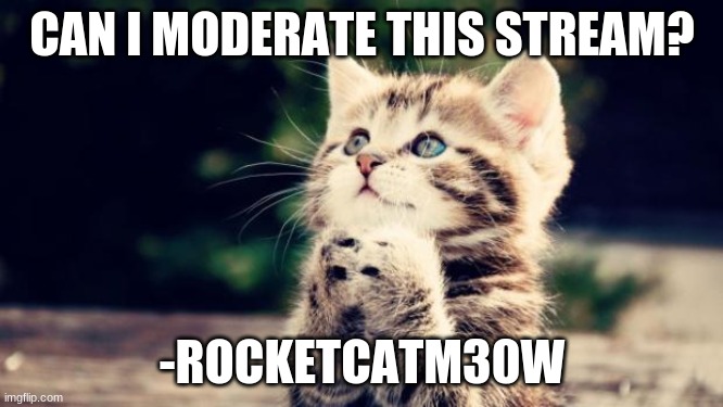 I love to draw, and see others drawings! | CAN I MODERATE THIS STREAM? -ROCKETCATM30W | image tagged in cute kitten | made w/ Imgflip meme maker