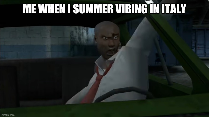 ME WHEN I SUMMER VIBING IN ITALY | image tagged in memes,vibes,funny,summer | made w/ Imgflip meme maker