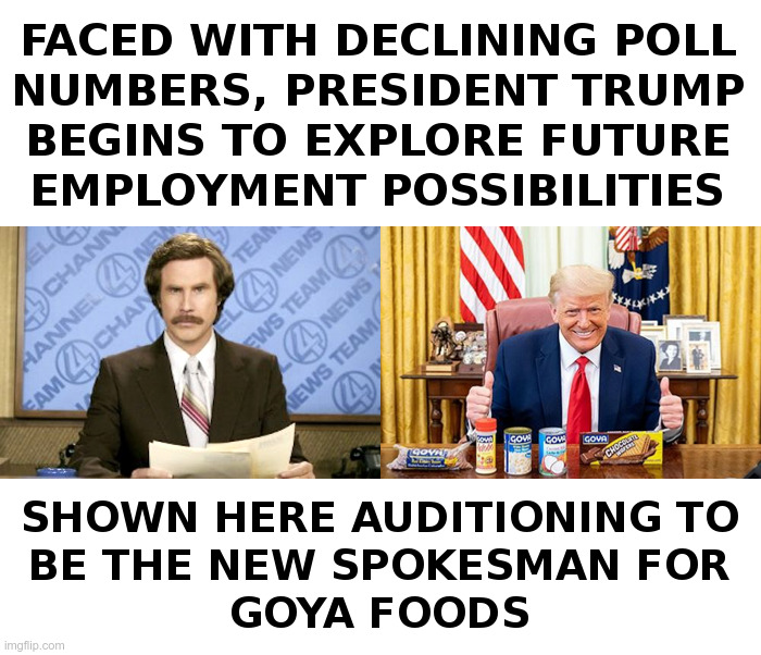 Trump Exploring Future Employment Possibilities | image tagged in trump,ron burgandy,goya,foods,commercial | made w/ Imgflip meme maker