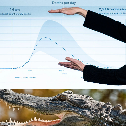 Dr. Birx showing a projected model of national deaths during a coronavirus task force briefing at the White House in March | image tagged in covid-19,coronavirus,alligator,hand jive,sign language | made w/ Imgflip meme maker