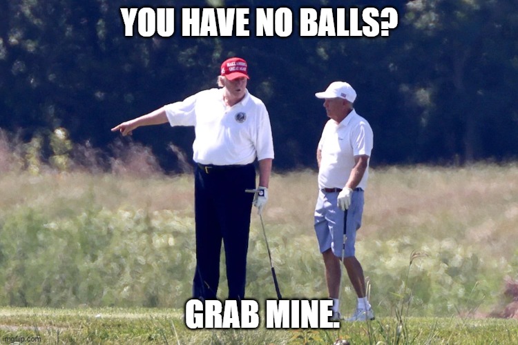 Trump Balls | YOU HAVE NO BALLS? GRAB MINE. | image tagged in lindsay graham,golfing,golf,trump,balls,no balls | made w/ Imgflip meme maker