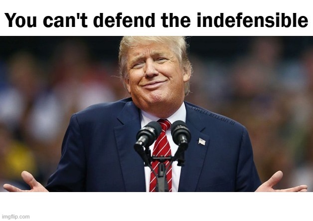 Trump Can't Defend The Indefensible | image tagged in trump can't defend the indefensible | made w/ Imgflip meme maker