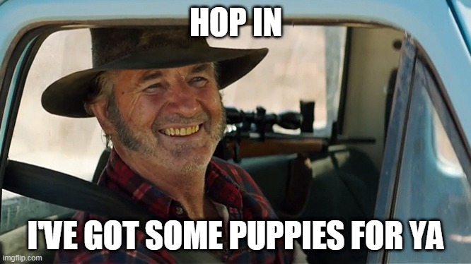 HOP IN; I'VE GOT SOME PUPPIES FOR YA | image tagged in mad mick,hop in | made w/ Imgflip meme maker