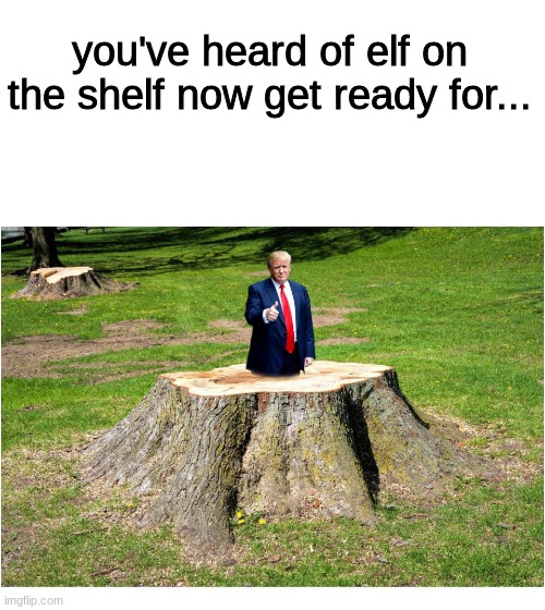 you've heard of elf on the shelf |  you've heard of elf on the shelf now get ready for... | image tagged in elf on the shelf | made w/ Imgflip meme maker