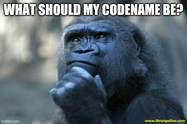 Deep Thoughts | WHAT SHOULD MY CODENAME BE? | image tagged in deep thoughts | made w/ Imgflip meme maker