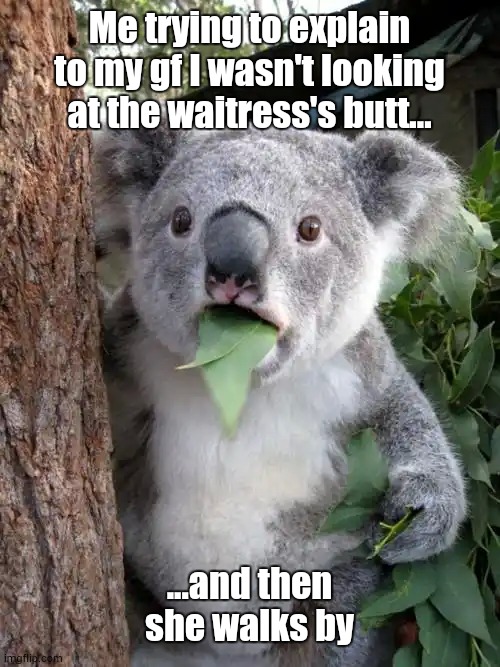 just for fun | Me trying to explain to my gf I wasn't looking at the waitress's butt... ...and then she walks by | image tagged in memes,surprised koala | made w/ Imgflip meme maker