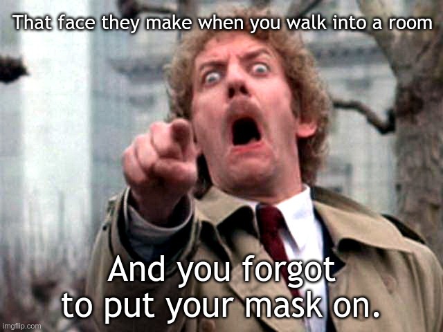Screaming Donald Sutherland | That face they make when you walk into a room; And you forgot to put your mask on. | image tagged in screaming donald sutherland | made w/ Imgflip meme maker