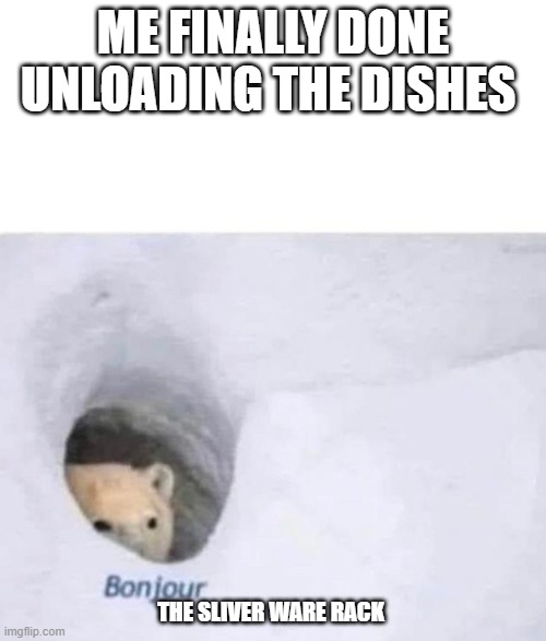 Bonjour | ME FINALLY DONE UNLOADING THE DISHES; THE SLIVER WARE RACK | image tagged in bonjour,dishes,funny | made w/ Imgflip meme maker