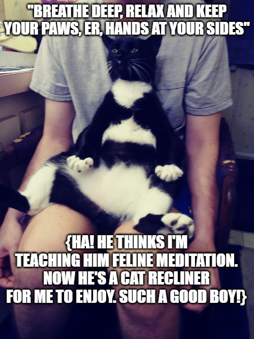 Zen Cat | "BREATHE DEEP, RELAX AND KEEP YOUR PAWS, ER, HANDS AT YOUR SIDES"; {HA! HE THINKS I'M TEACHING HIM FELINE MEDITATION. NOW HE'S A CAT RECLINER FOR ME TO ENJOY. SUCH A GOOD BOY!} | image tagged in zen cat | made w/ Imgflip meme maker