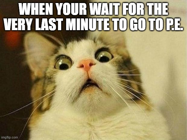 Scared Cat | WHEN YOUR WAIT FOR THE VERY LAST MINUTE TO GO TO P.E. | image tagged in memes,scared cat | made w/ Imgflip meme maker