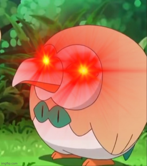 pokemon | image tagged in rowlet | made w/ Imgflip meme maker