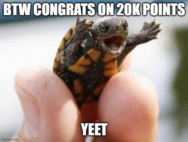 happy baby turtle | BTW CONGRATS ON 20K POINTS YEET | image tagged in happy baby turtle | made w/ Imgflip meme maker