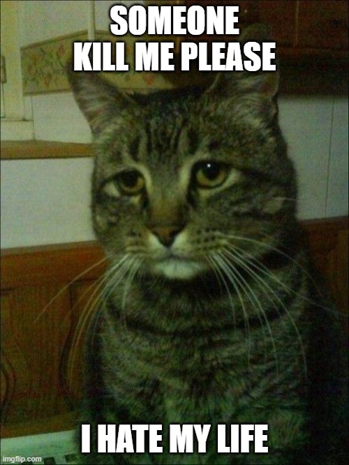 Depressed Cat | SOMEONE KILL ME PLEASE; I HATE MY LIFE | image tagged in memes,depressed cat | made w/ Imgflip meme maker